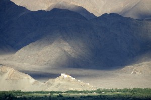 Ladakhi landscape